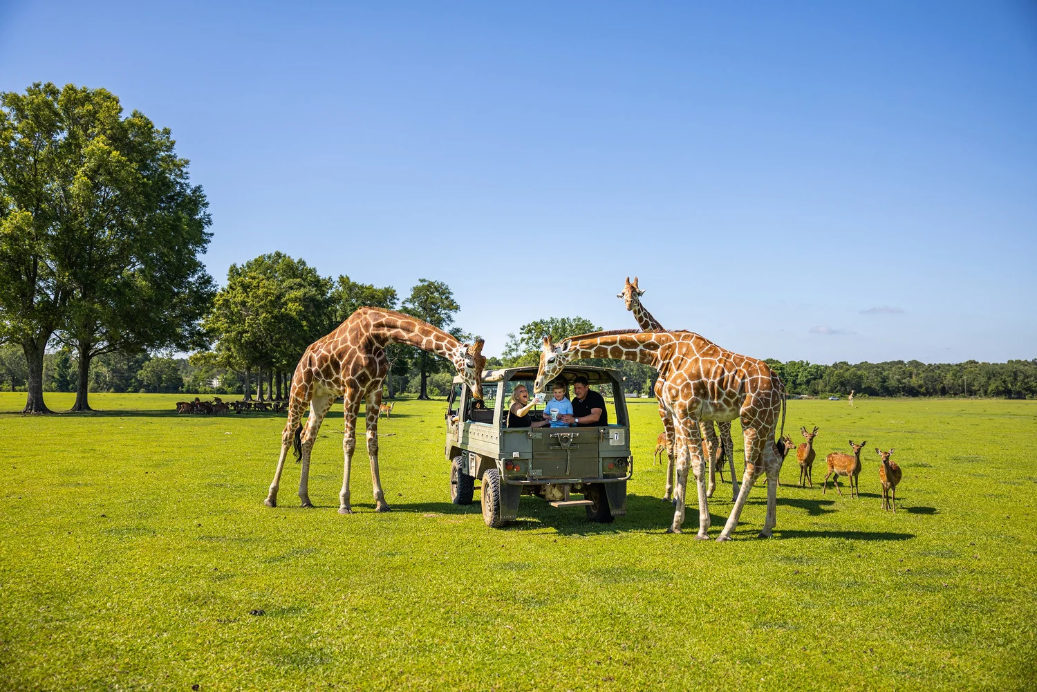 Wildlife encounter at a Louisiana wildlife center
