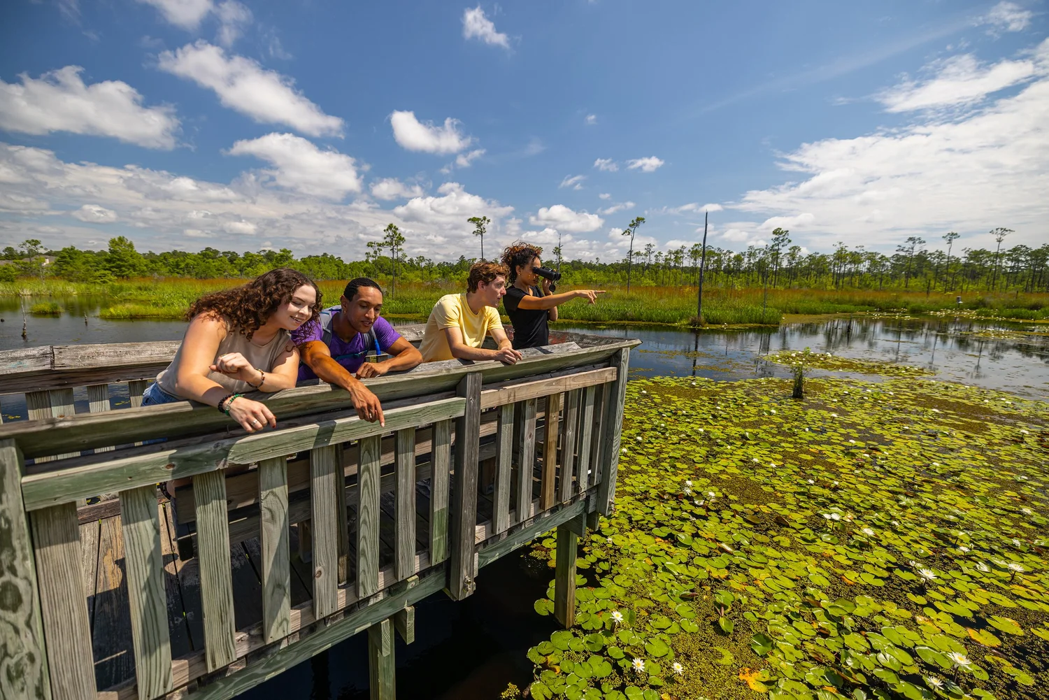 Marsh landscape at a Louisiana wildlife refuge